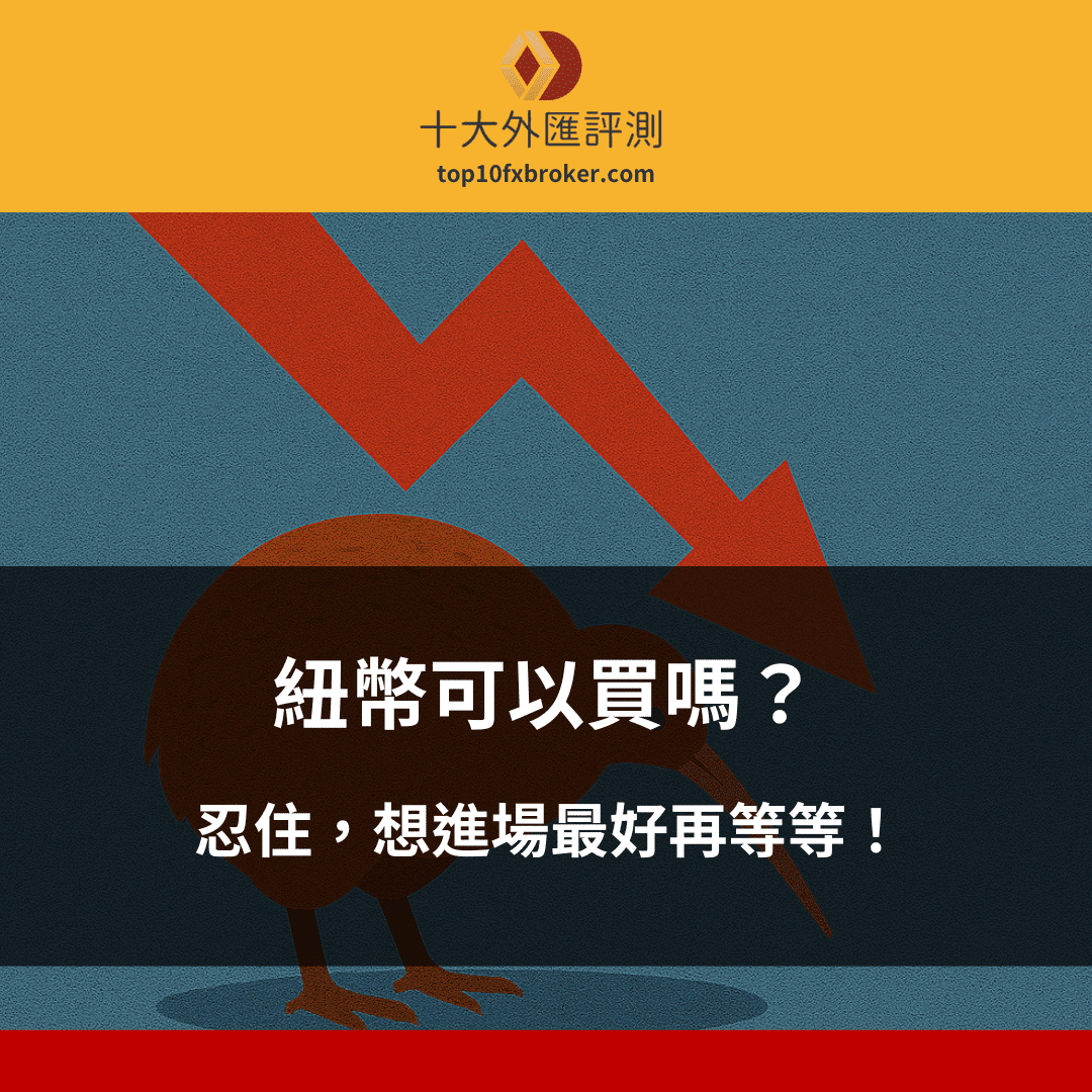 紐幣可以買嗎