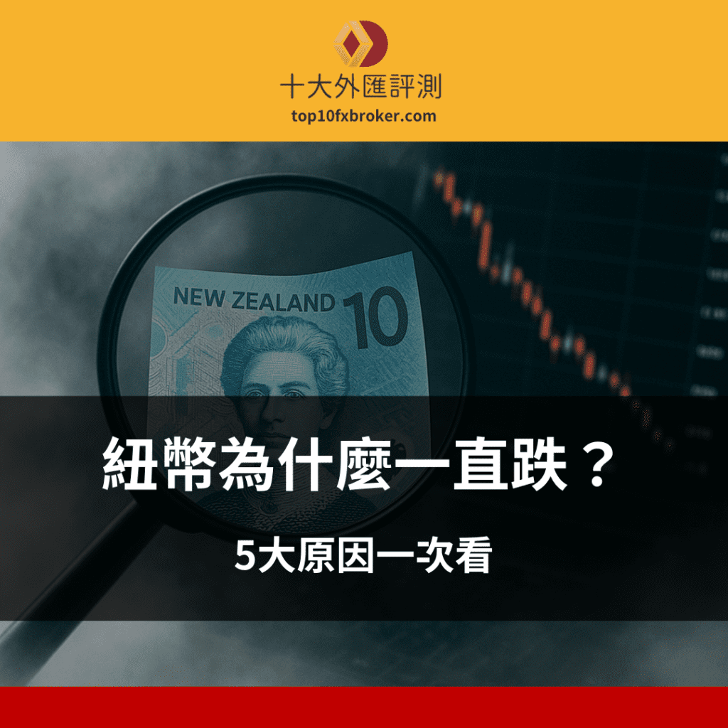 紐幣為什麼一直跌