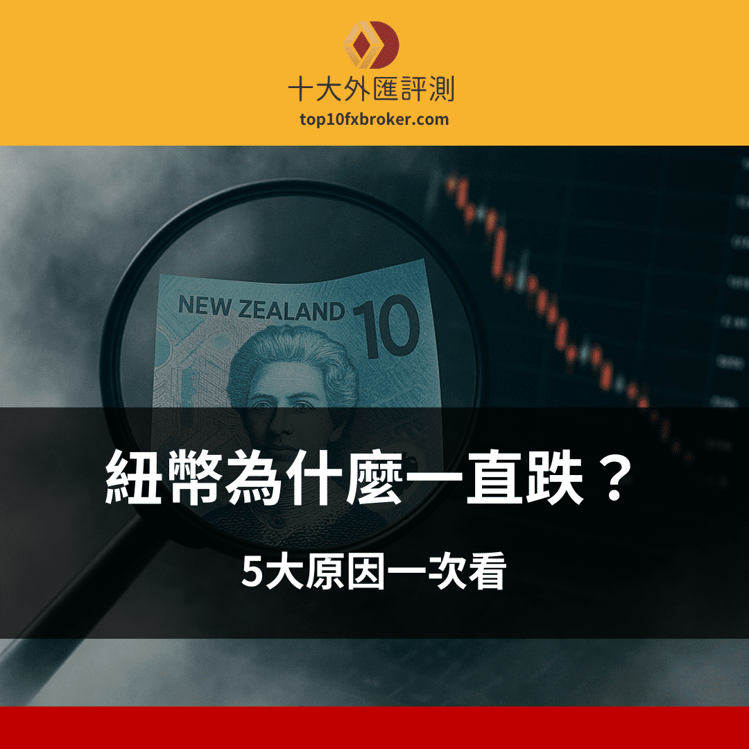 紐幣為什麼一直跌