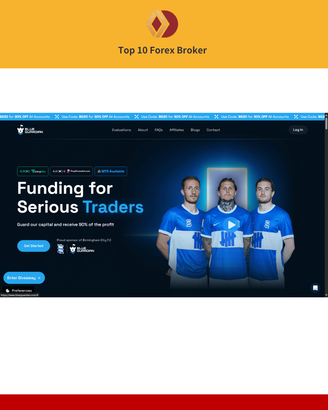 Blue Guardian 官網