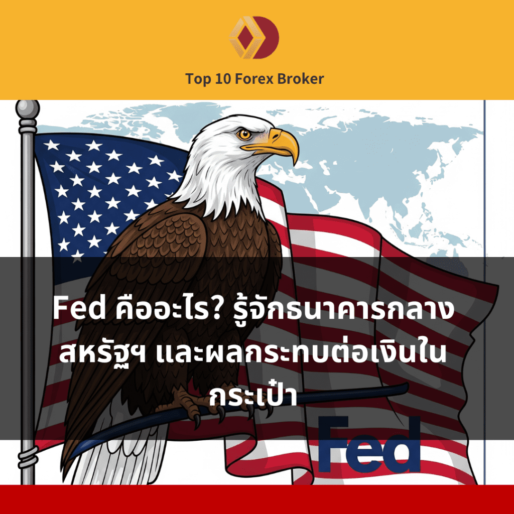 ภาพแนะนำบทความ Fed คืออะไร