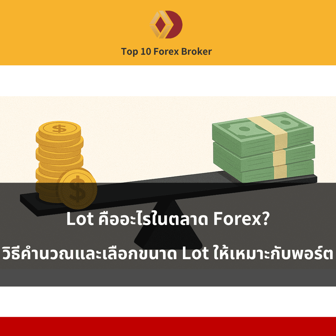 ภาพประกอบบทความ "Lot คืออะไร"